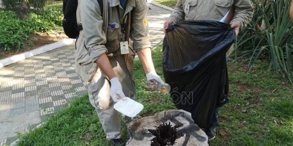 Diario HOY | Senepa implementa acciones contra el dengue a nivel país