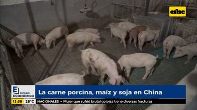 Enfoque Económico: la carne porcina, maíz y soja en China - Enfoque económico - ABC Color