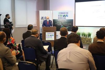 Bonos verdes e inversiones en proyectos sostenibles, en pleno desarrollo en nuestro país - Nacionales - ABC Color