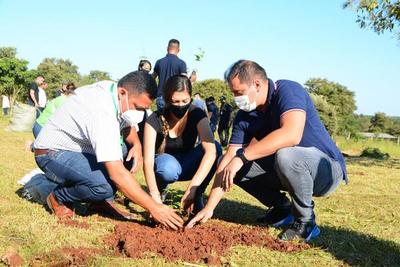 Buscan plantar 5.000 árboles para reforestar CDE