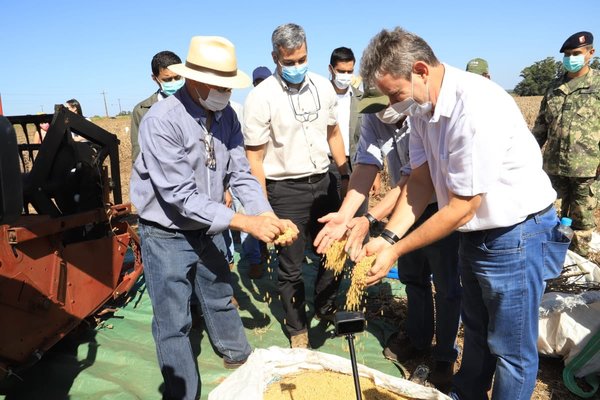 Mandatario compartió con productores de Naranjal y encabezó inicio de cosecha de soja en Puerto Barra | .::Agencia IP::.
