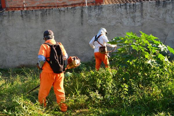Municipalidad interviene otro baldío abandonado