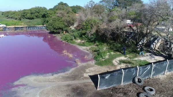 Diario HOY | Ordenan remitir a Emboscada a dueño de firma que contaminó la Laguna Cerro
