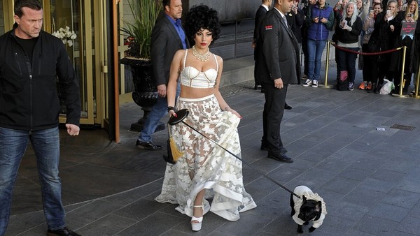 Video | El violento ataque que recibió paseador de perros de Lady Gaga