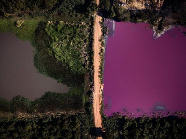 Laguna Cerro: Dictan prisión preventiva para dueño de curtiembre por considerar que hay peligro de fuga | Ñanduti