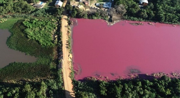 Prisión para propietario de empresa por contaminación de laguna