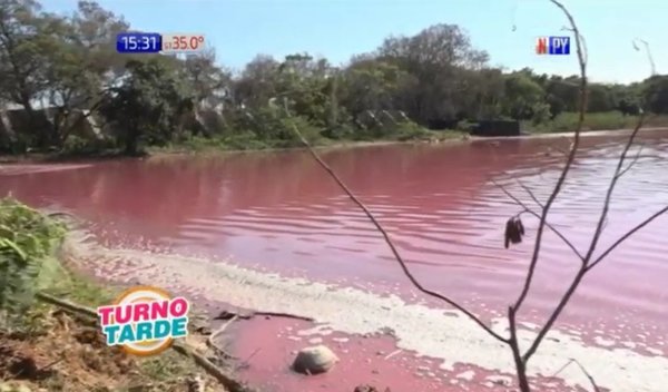 Imputan al propietario de la curtiembre que habría contaminado la laguna Cerro | Noticias Paraguay