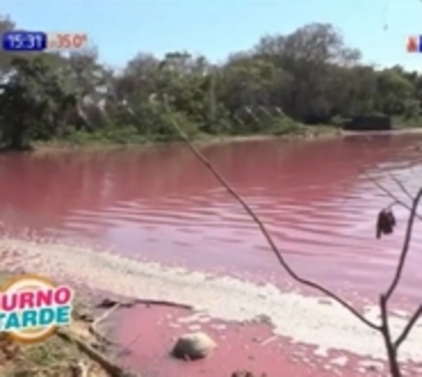 Laguna Cerro: Ordenan prisión preventiva para dueño de la curtiembre  - Paraguay.com