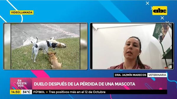 Duelo después de la pérdida de una mascota - Ensiestados - ABC Color