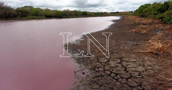 La Nación / Laguna Cerro: ordenan prisión en Emboscada para el dueño de empresa contaminante