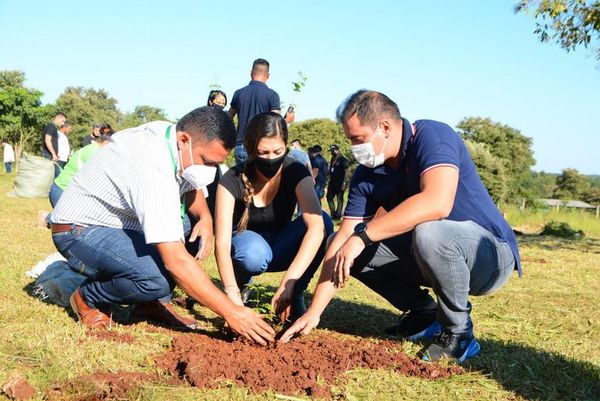 Plantan 300 arbolitos de especies nativas en Ciudad del Este - ABC en el Este - ABC Color