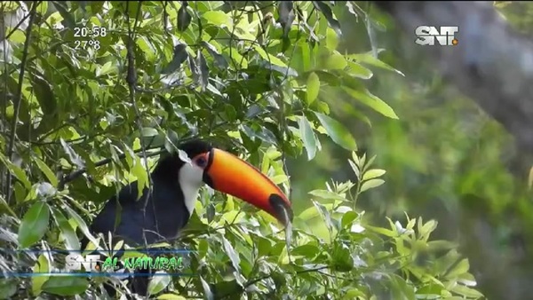 SNT Al Natural: Increíbles paisajes que ofrece el Paraguay - SNT