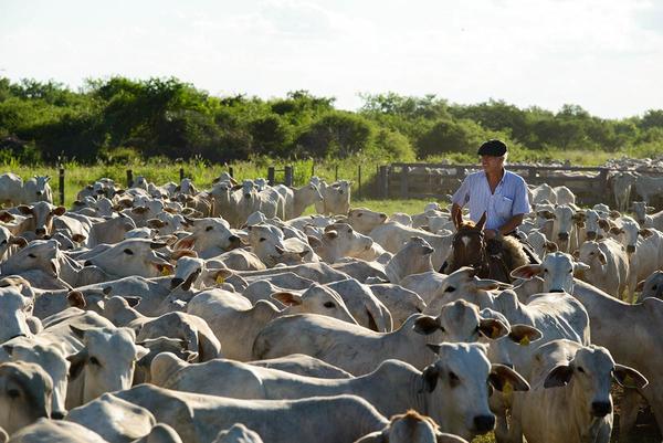 Everdem cumple 20 años y lo celebra con una gran feria de ganado por pantalla