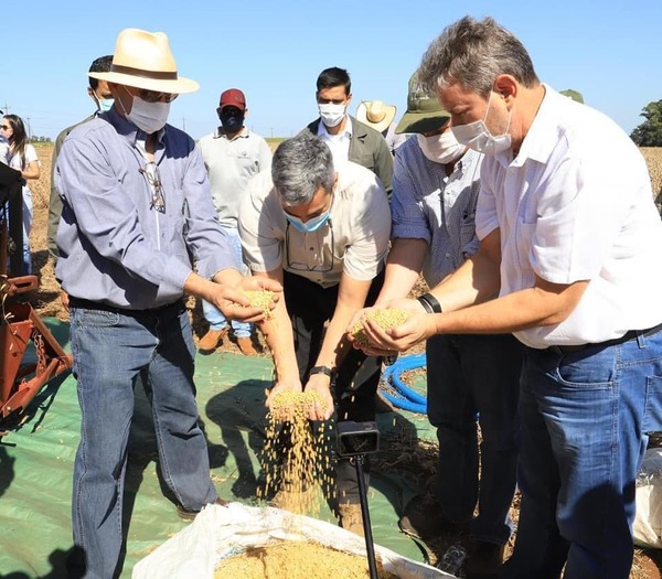 Inician cosecha de soja en Puerto Barra con presencia de Mario Abdo