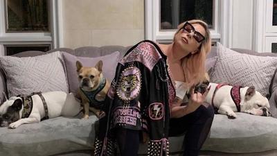 Lady Gaga recuperó a sus perros