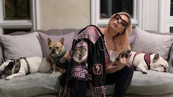 Lady Gaga recuperó a sus perros