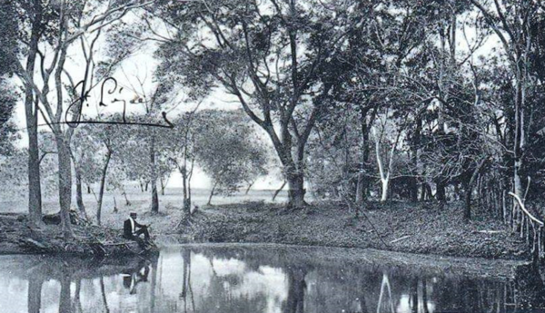 Arquitectura del paisaje en Asunción. El Romanticismo como contrapunto