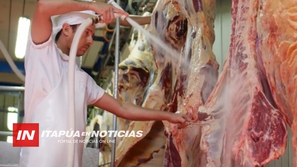 BUSCAN IMPULSAR EXPORTACIÓN DE CARNE DESDE ITAPÚA.