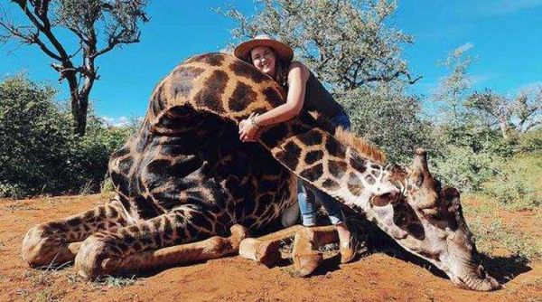 Una mujer se jacta de cazar a una jirafa y posa con su corazón en redes sociales