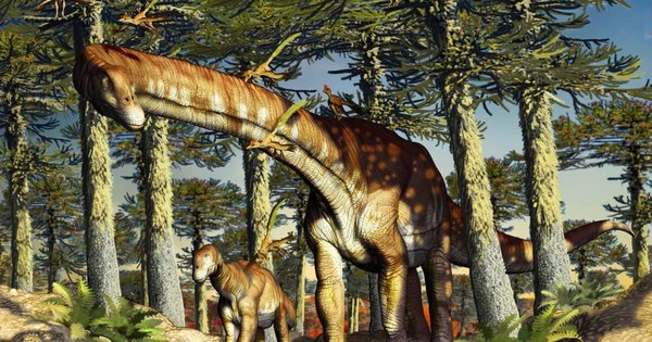 La Nación / Titanosaurio hallado en Argentina es el más antiguo