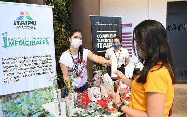 ITAIPU distribuyó plantas medicinales en conmemoración del Día Nacional del Tereré