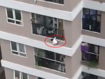 Un repartidor salva a niña que cayó de una altura de 12 pisos en Vietnam