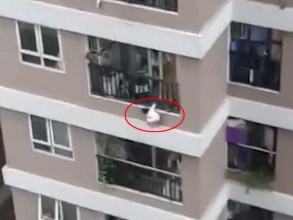 Un repartidor salva a niña que cayó de una altura de 12 pisos en Vietnam