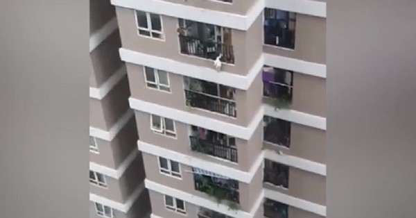 Repartidor salva a una niña de tres años que cayó de una altura de 12 pisos - SNT