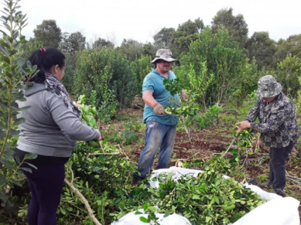 Apoyo a emprendedores de Itapúa