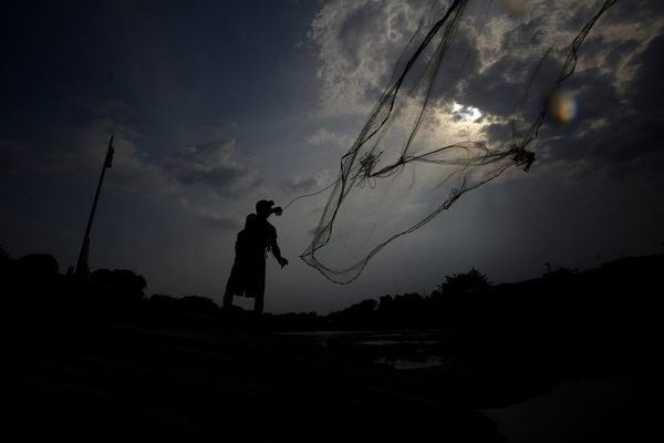 Pesca y consumo de cemento suben 74 y 21 % en enero en Perú - MarketData