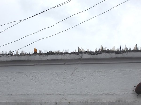 Crónica / Murallas con vidrios rotos, lo más pedido