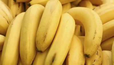 Exportación de banana batió récord en 2020 con US$ 15.6 millones ingresados (productores van por más este 2021)