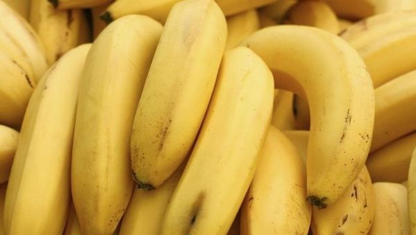 Exportación de banana batió récord en 2020 con US$ 15.6 millones ingresados (productores van por más este 2021)