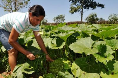 FAO insta a cuantificar el trabajo no remunerado de las mujeres rurales en el PIB paraguayo - MarketData
