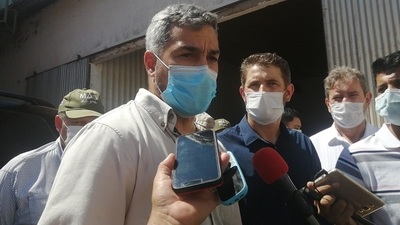 Presidente desarrollará jornada de gobierno en Cordillera