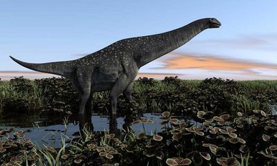 El titanosaurio más antiguo fue descubierto en la Patagonia