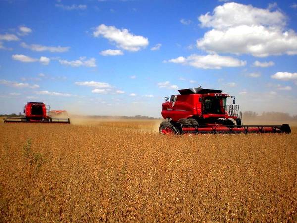 Estiman un escenario favorable para envíos de cereales locales