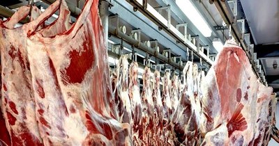 La Nación / Ingresos de la carne cerraron con 12% más en primer bimestre