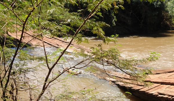 Se desploma puente de madera que cruza la comunidad de Puerto Barra