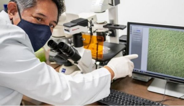 Universidad de Ecuador anuncia creación de prototipo de vacuna contra el Covid-19 | .::Agencia IP::.