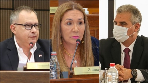 Senadora plantea interpelar al Ministro de Salud