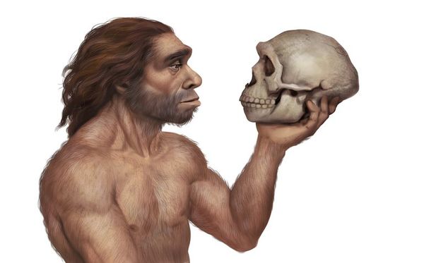 Los neandertales oían tan bien como el homo sapiens, según estudio - Ciencia - ABC Color