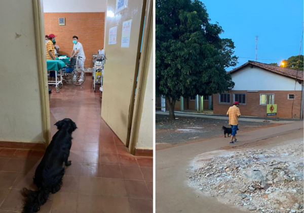 ¡Sin él no me voy! En Caazapá, un perrito esperó a su dueño en la puerta del hospital y conmovió a todos - Megacadena — Últimas Noticias de Paraguay