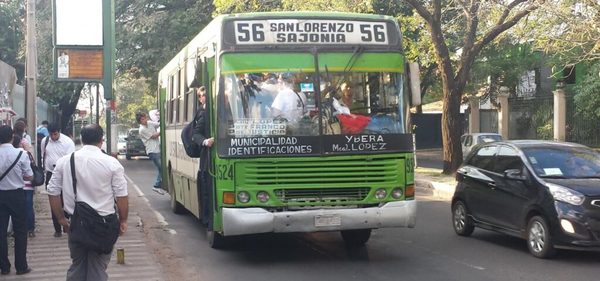 Diputado dice que hay un “matrimonio interesado” entre políticos y empresarios de transporte | Ñanduti