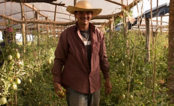Red de comercialización facilita venta de productos campesinos