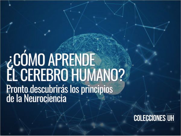 La neurociencia y su incidencia en el conocimiento, según expertos