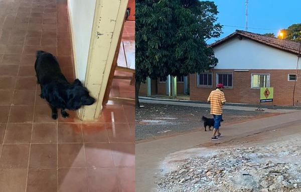 En Caazapá, un perrito acompañó a su amo hasta el hospital