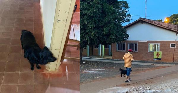 Amigo fiel: perrito esperó a su dueño en la puerta del hospital