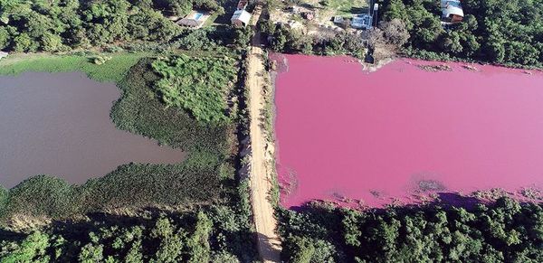 Laguna Cerro: Defensa pide investigar a otra curtiembre - Nacionales - ABC Color