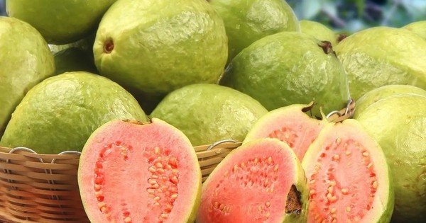 La Nación / El sábado 6 de marzo se realizará la Fiesta de la Guayaba